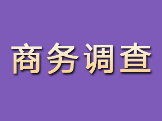 恭城商务调查